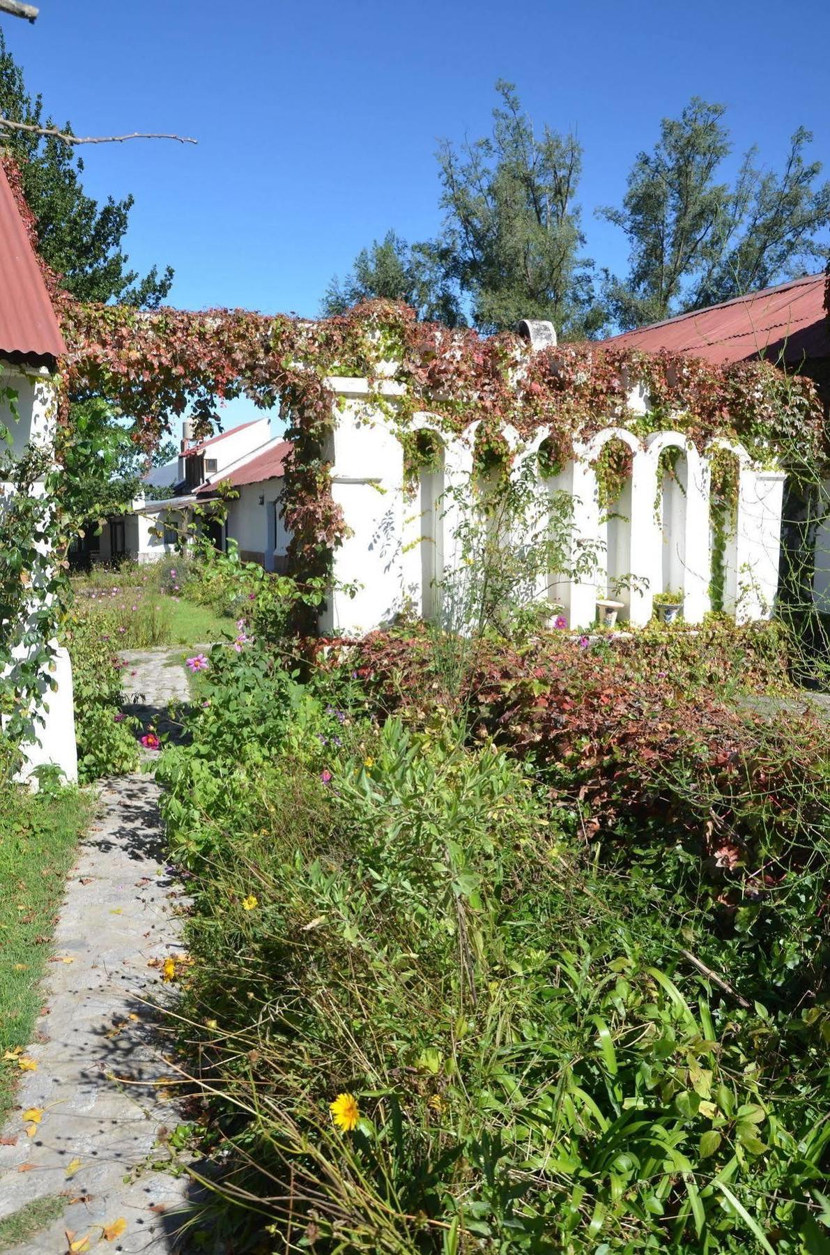 Estancia Las Tacanas Тафі-дель-Вальє Екстер'єр фото